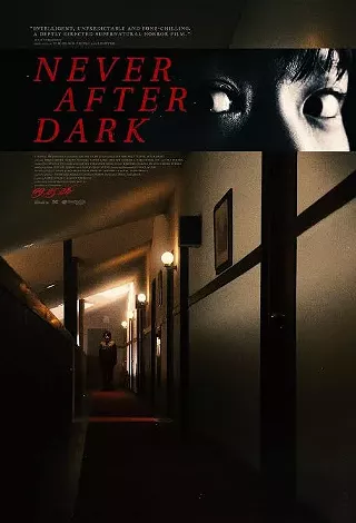Image: Never After Dark