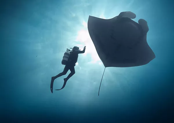 Image: The Last Dive: San Diego Premiere
